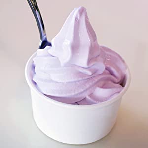 Blueberry Frozen Yogurt